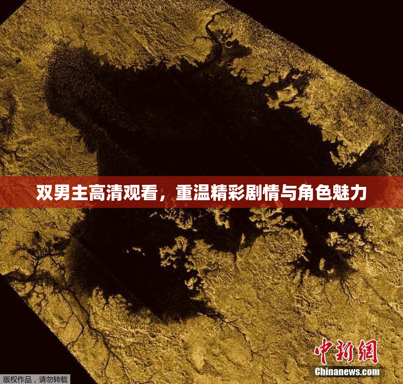 双男主高清观看，重温精彩剧情与角色魅力