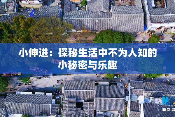 小伸进：探秘生活中不为人知的小秘密与乐趣