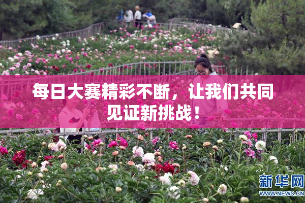 每日大赛精彩不断，让我们共同见证新挑战！