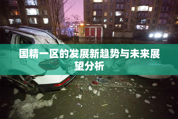 国精一区的发展新趋势与未来展望分析