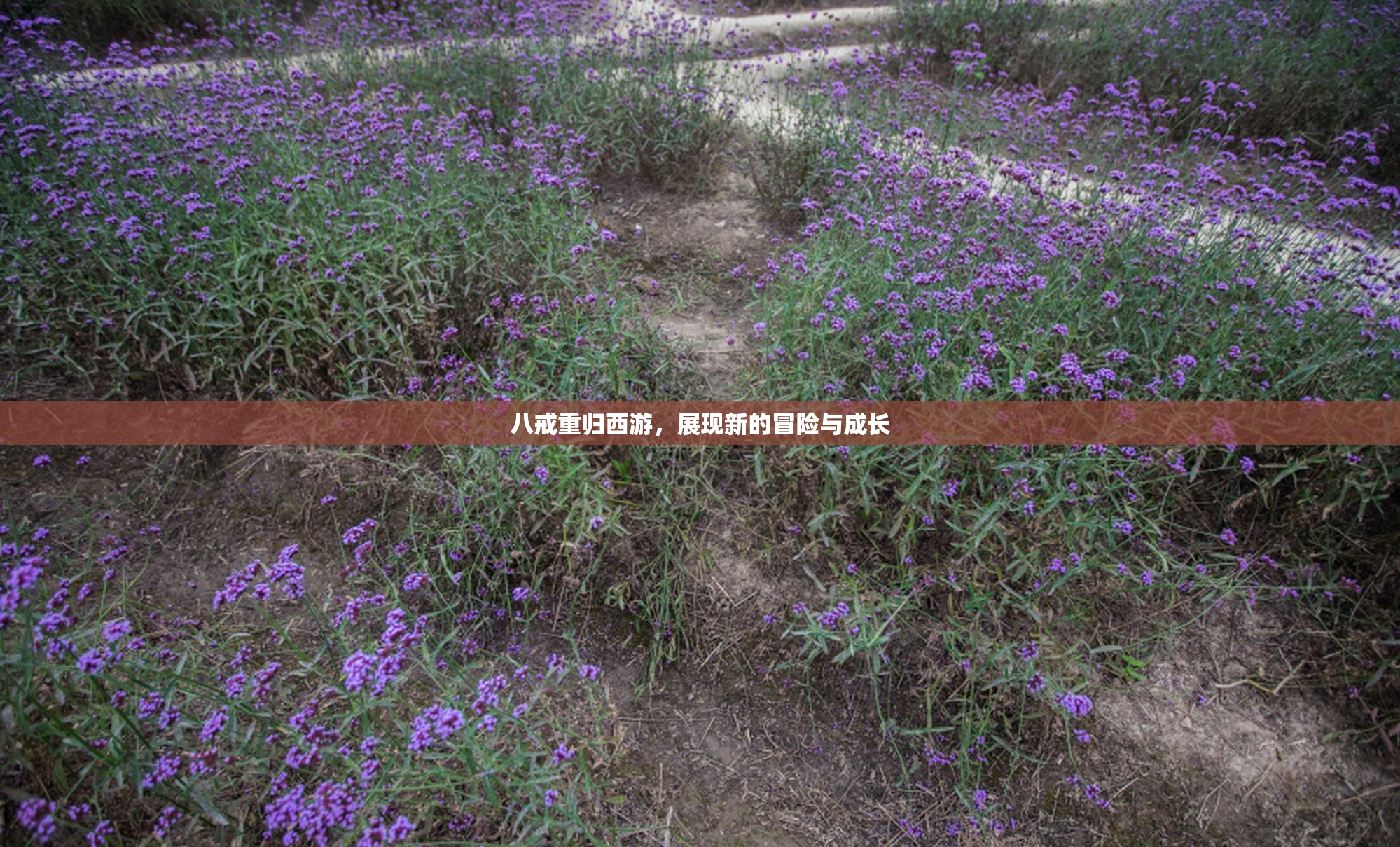 八戒重归西游，展现新的冒险与成长