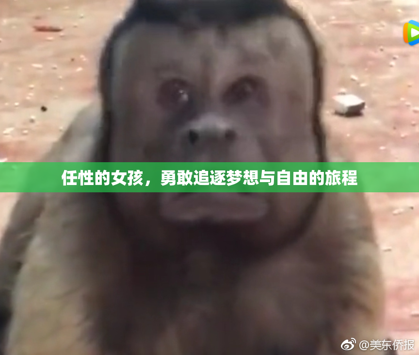 任性的女孩，勇敢追逐梦想与自由的旅程