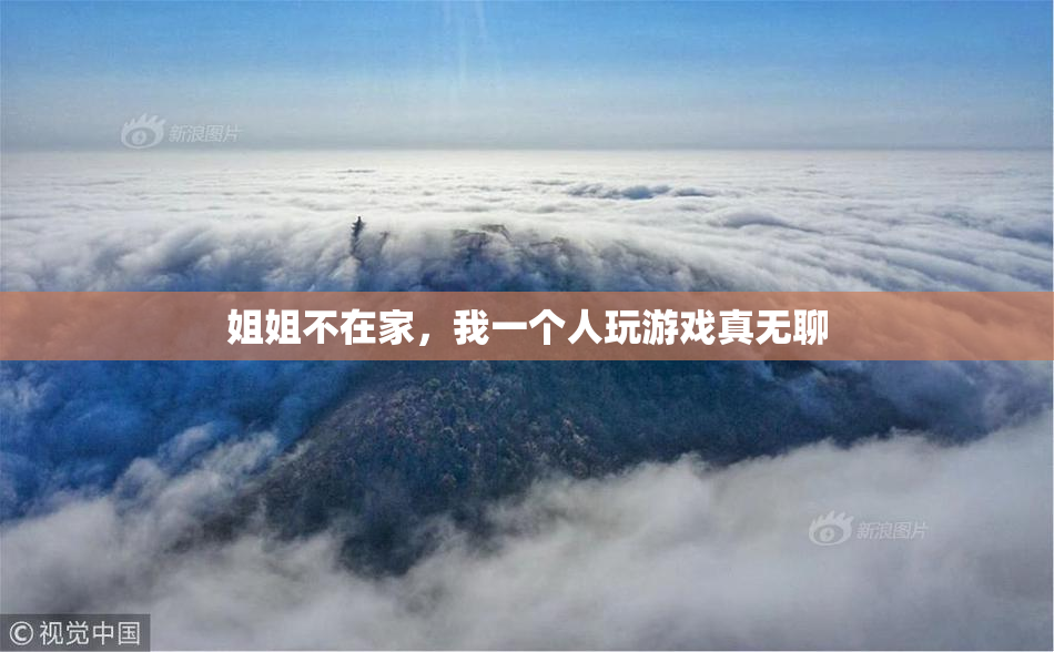 姐姐不在家，我一个人玩游戏真无聊