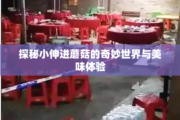 探秘小伸进蘑菇的奇妙世界与美味体验