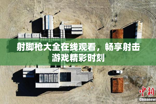 射脚枪大全在线观看，畅享射击游戏精彩时刻