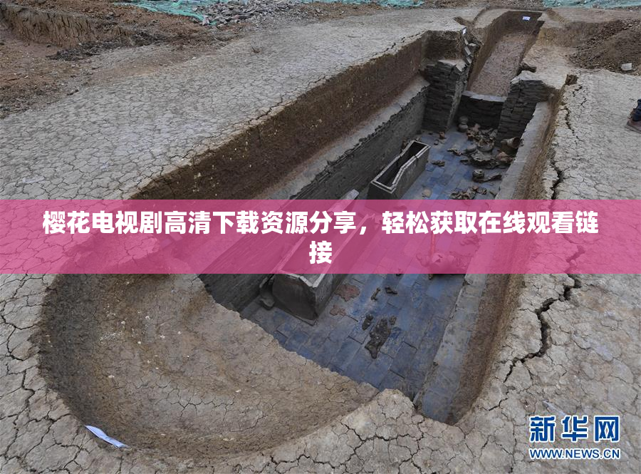 樱花电视剧高清下载资源分享，轻松获取在线观看链接