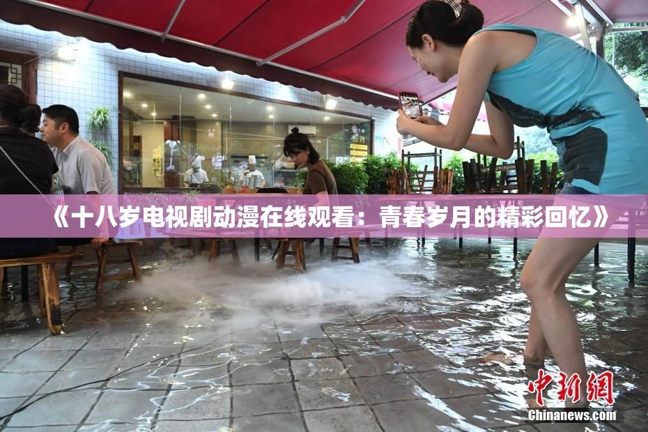 《十八岁电视剧动漫在线观看：青春岁月的精彩回忆》