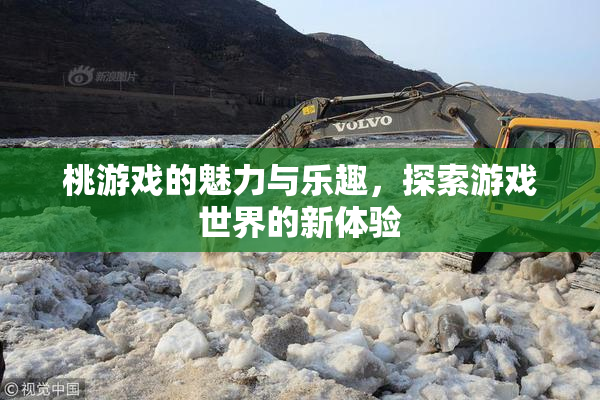 桃游戏的魅力与乐趣，探索游戏世界的新体验