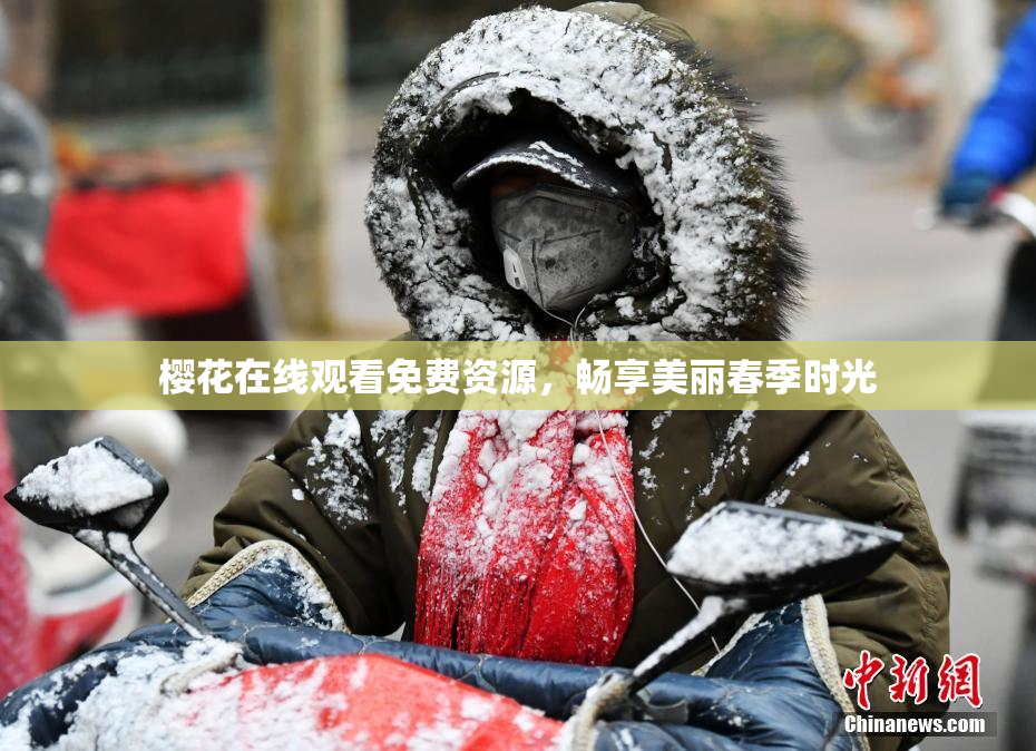 樱花在线观看免费资源，畅享美丽春季时光
