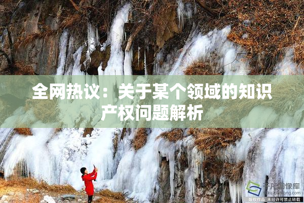 全网热议：关于某个领域的知识产权问题解析