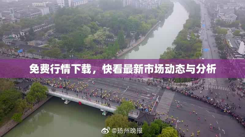 免费行情下载，快看最新市场动态与分析