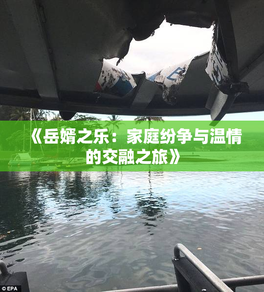 《岳婿之乐：家庭纷争与温情的交融之旅》