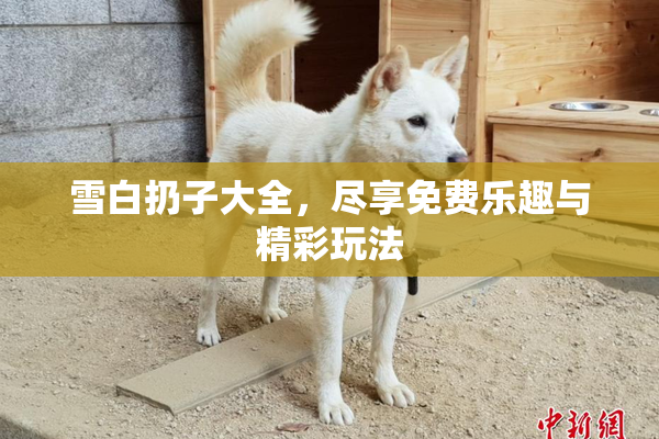 雪白扔子大全，尽享免费乐趣与精彩玩法