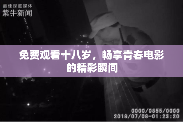 免费观看十八岁，畅享青春电影的精彩瞬间