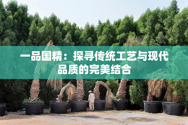 一品国精：探寻传统工艺与现代品质的完美结合