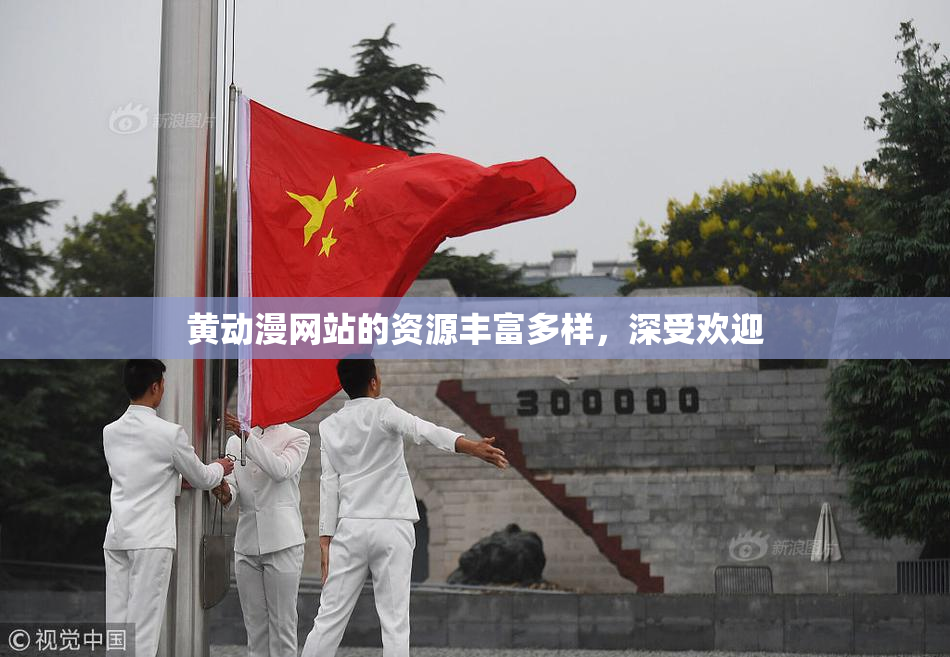 黄动漫网站的资源丰富多样，深受欢迎