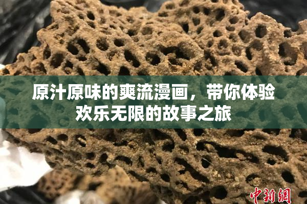 原汁原味的爽流漫画，带你体验欢乐无限的故事之旅