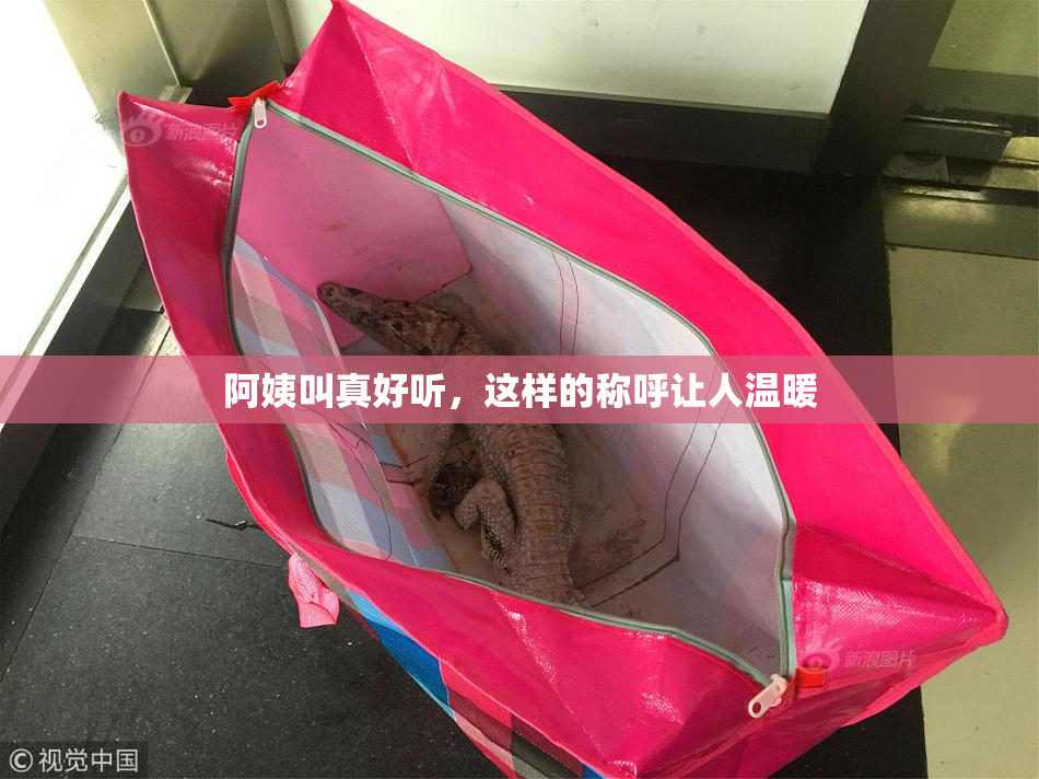 阿姨叫真好听，这样的称呼让人温暖
