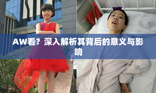AW看？深入解析其背后的意义与影响