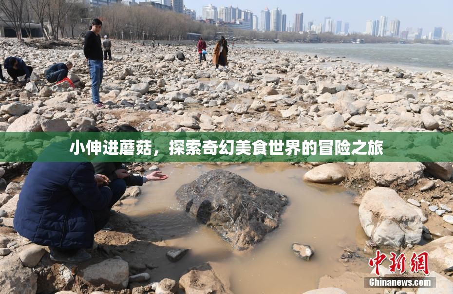小伸进蘑菇，探索奇幻美食世界的冒险之旅