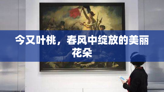 今又叶桃，春风中绽放的美丽花朵