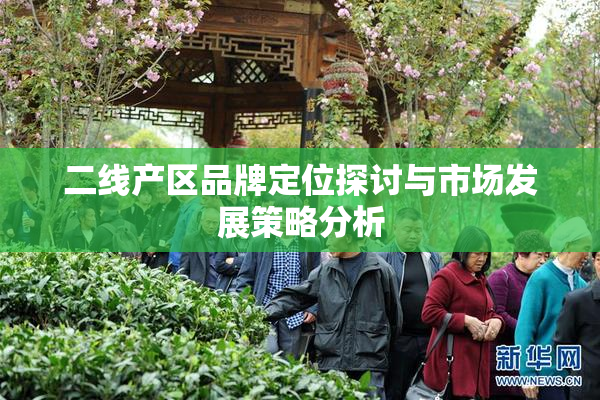 二线产区品牌定位探讨与市场发展策略分析