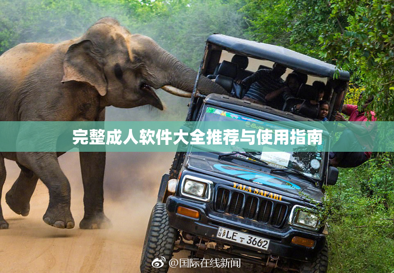 完整成人软件大全推荐与使用指南