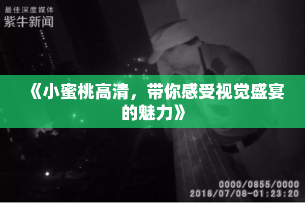 《小蜜桃高清，带你感受视觉盛宴的魅力》