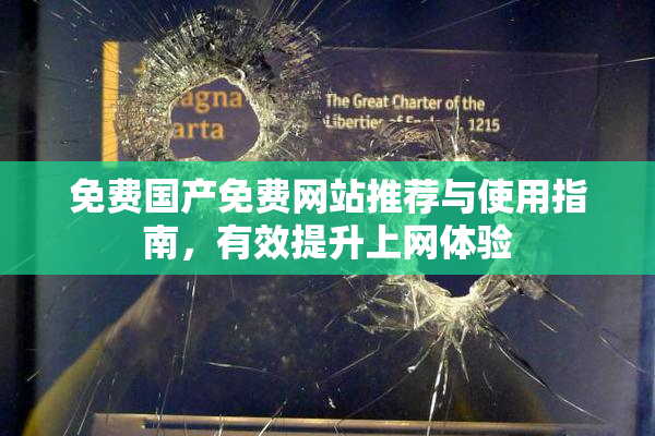 免费国产免费网站推荐与使用指南，有效提升上网体验