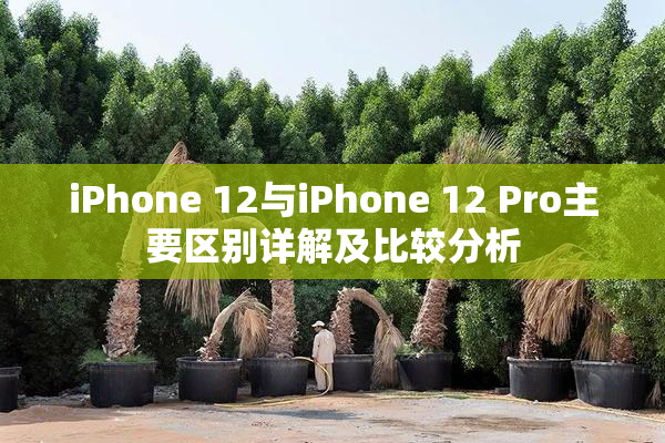 iPhone 12与iPhone 12 Pro主要区别详解及比较分析