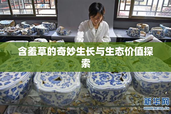 含羞草的奇妙生长与生态价值探索