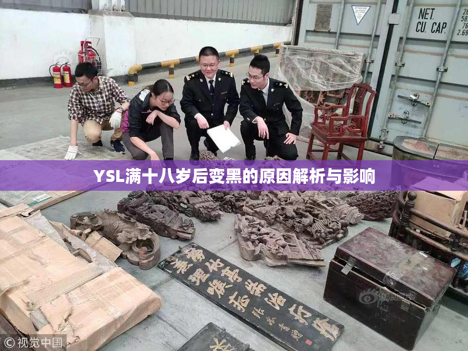 YSL满十八岁后变黑的原因解析与影响