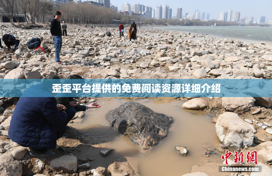 歪歪平台提供的免费阅读资源详细介绍