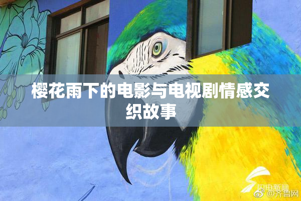 樱花雨下的电影与电视剧情感交织故事