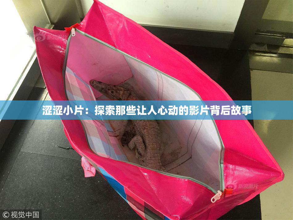 涩涩小片：探索那些让人心动的影片背后故事