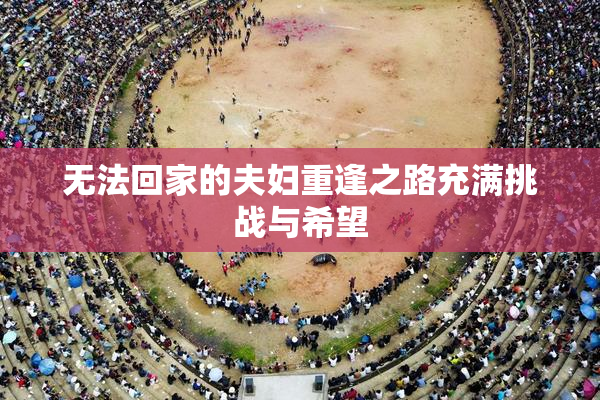 无法回家的夫妇重逢之路充满挑战与希望