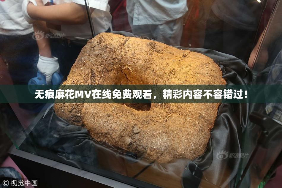 无痕麻花MV在线免费观看，精彩内容不容错过！