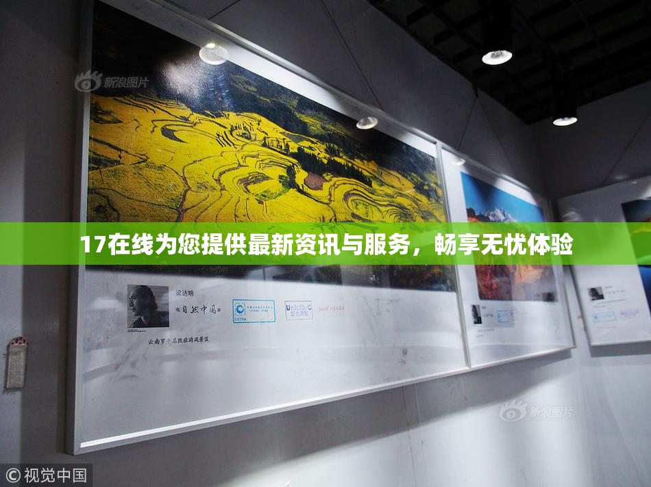 17在线为您提供最新资讯与服务，畅享无忧体验