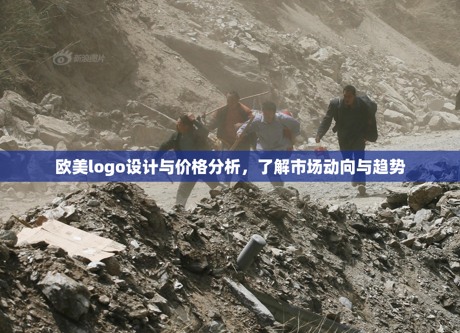 欧美logo设计与价格分析，了解市场动向与趋势