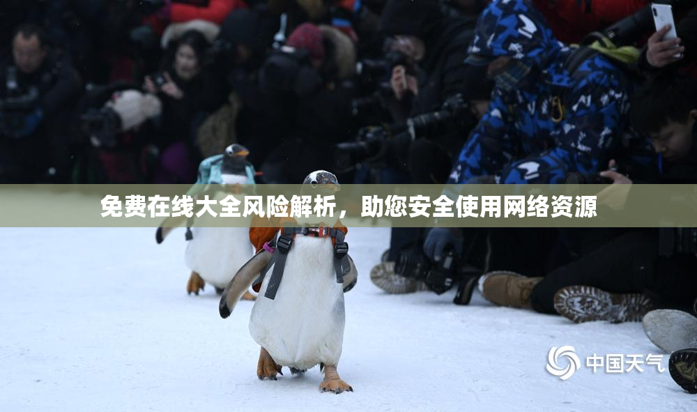免费在线大全风险解析，助您安全使用网络资源