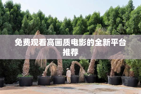 免费观看高画质电影的全新平台推荐