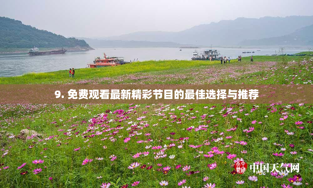 9. 免费观看最新精彩节目的最佳选择与推荐