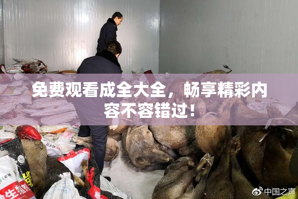 免费观看成全大全，畅享精彩内容不容错过！