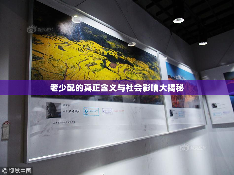 老少配的真正含义与社会影响大揭秘