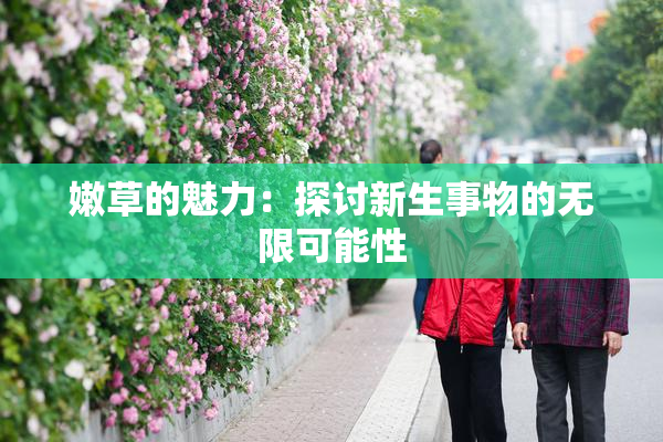 嫩草的魅力：探讨新生事物的无限可能性