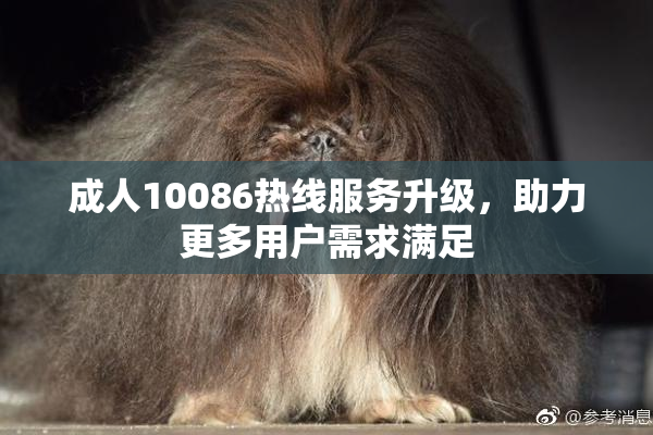 成人10086热线服务升级，助力更多用户需求满足
