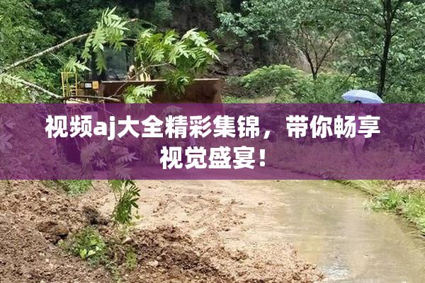 视频aj大全精彩集锦，带你畅享视觉盛宴！