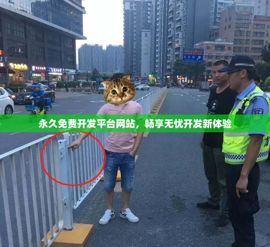 永久免费开发平台网站，畅享无忧开发新体验