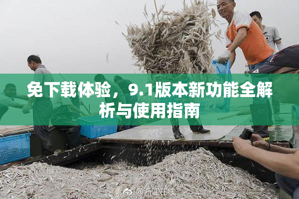 免下载体验，9.1版本新功能全解析与使用指南