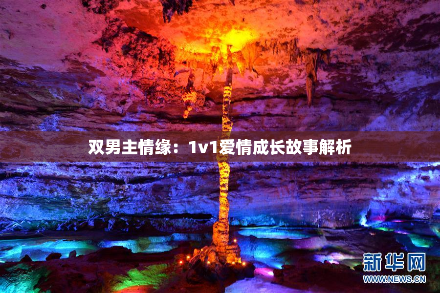 双男主情缘：1v1爱情成长故事解析